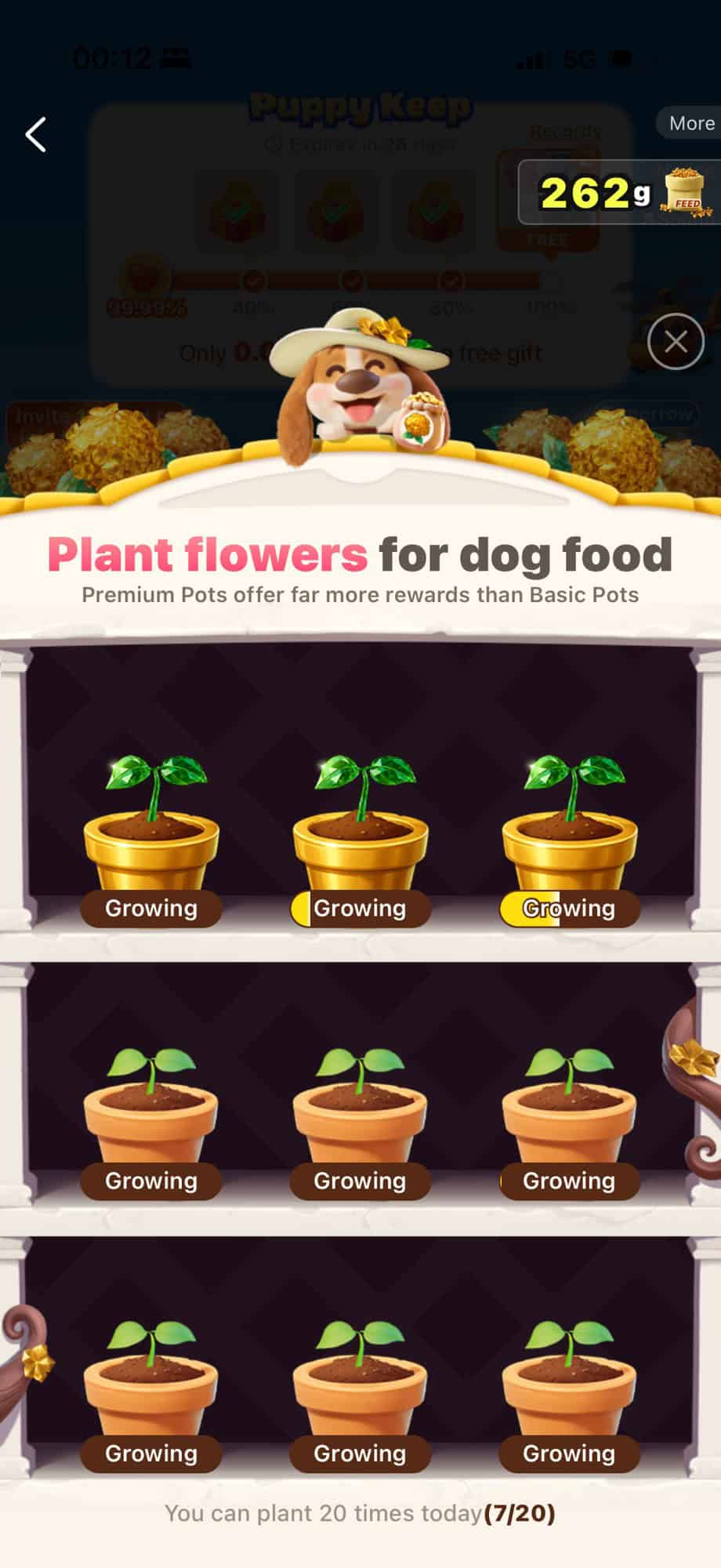 shein puppy keep game harvest 