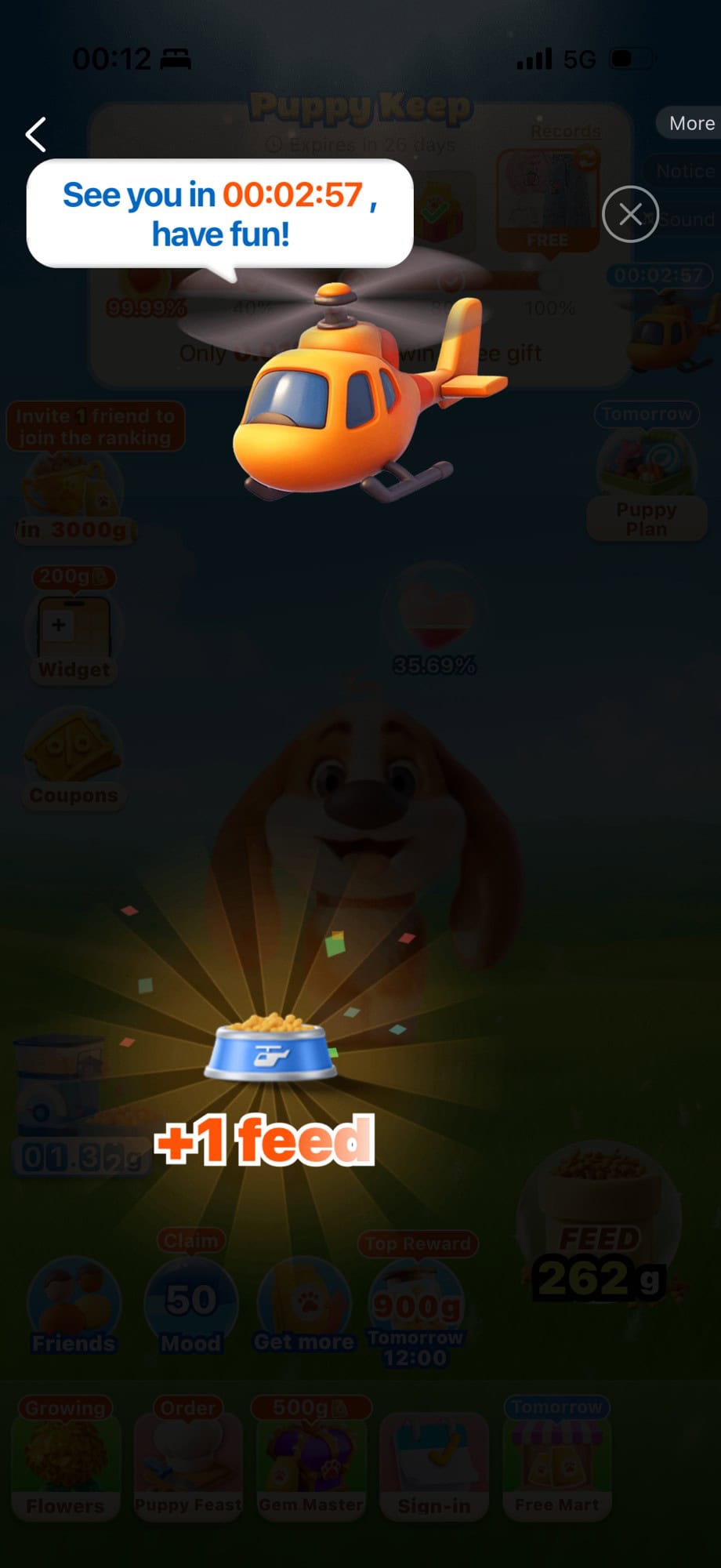 shein puppy keep game 