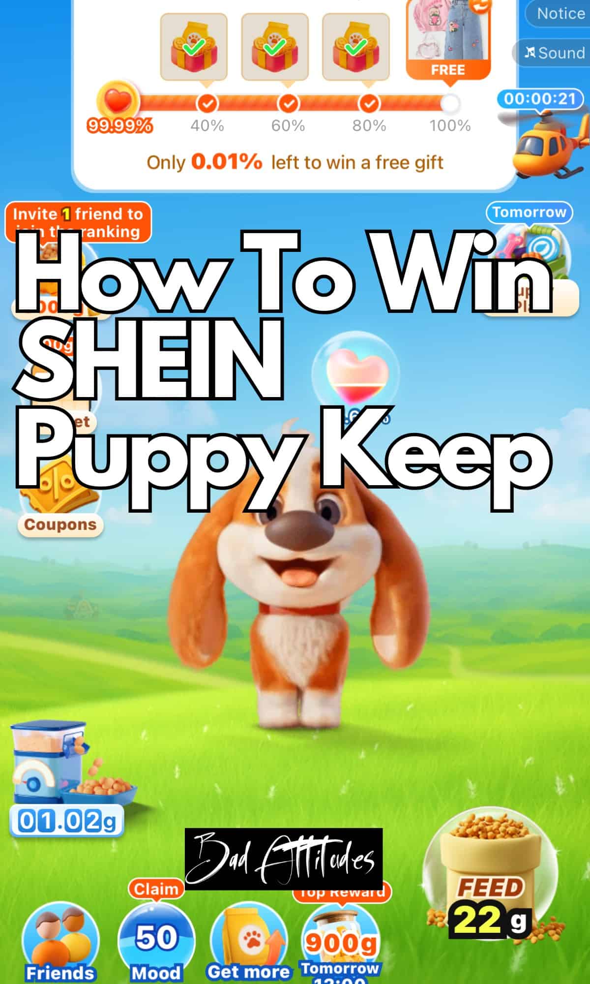 how to win shein puppy keep 